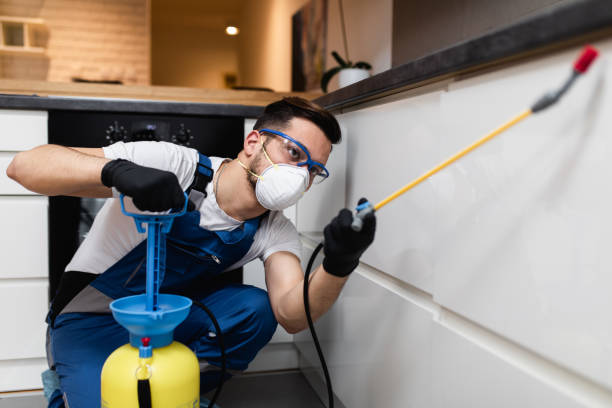 Best Mosquito Control Services  in Highlands, NJ