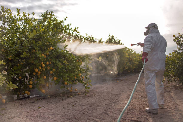Best Insect Control  in Highlands, NJ