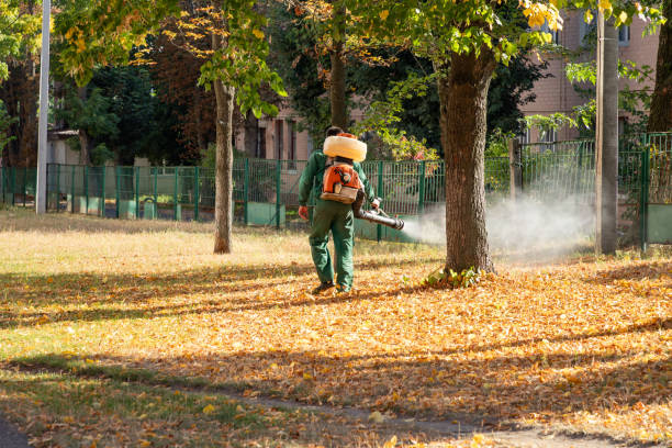 Best Bird Control  in Highlands, NJ
