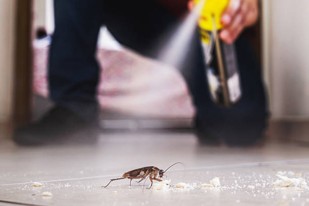 Best Exterminator Services  in Highlands, NJ
