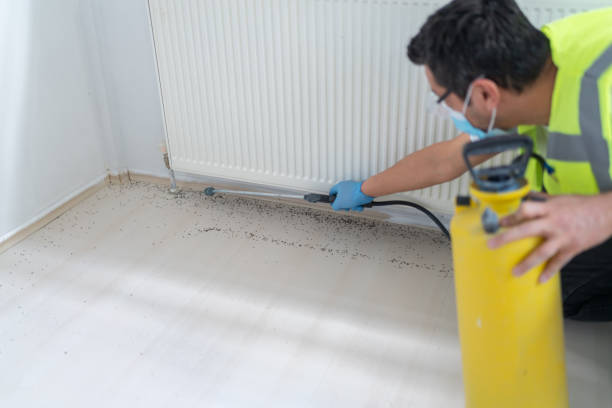 Pest Control Cost in Highlands, NJ
