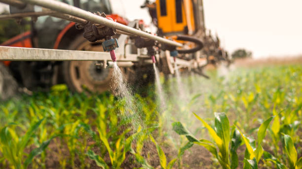 Best Pest Control Cost  in Highlands, NJ